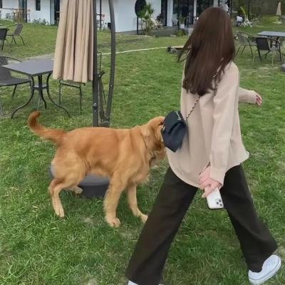 恐怖休息站2