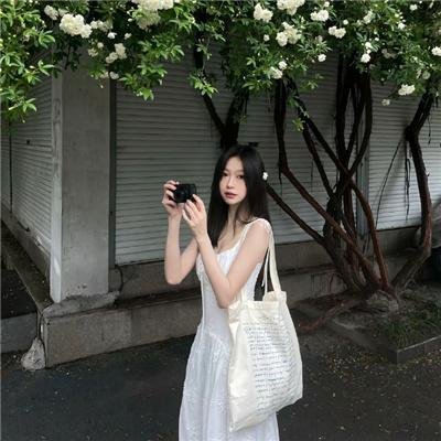 蓝色大丽花